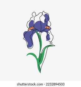 vector illustration flower iris. can be used for printing and postcards