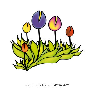 vector illustration of flower isolated on white background