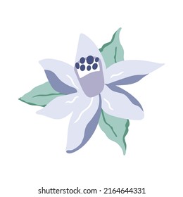 Vector illustration of flower and leaves in gentle pastel colors. Isolated on white background.