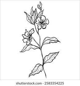 Vector illustration of a flower with leaves. Line drawing of a flowering twig.