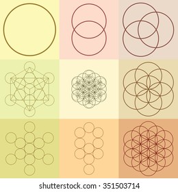 Vector illustration / flower of life / sacred geometry / ancient symbol 