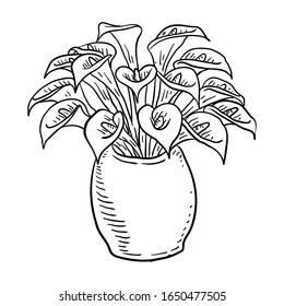 Vector Illustration Flower line drawing