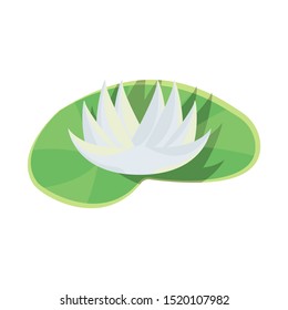 Vector illustration of flower and lotus icon. Graphic of flower and leaf stock symbol for web.