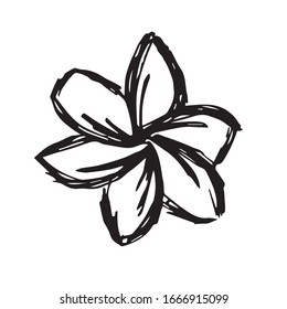 Vector Illustration of Flower Nature Spring Icon on Isolated Background. Use This Hand Drawing or Sketch Icon For Graphic Design, Poster, Shirt Design and More.