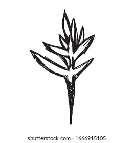 Vector Illustration of Flower Nature Spring Icon on Isolated Background. Use This Hand Drawing or Sketch Icon For Graphic Design, Poster, Shirt Design and More.