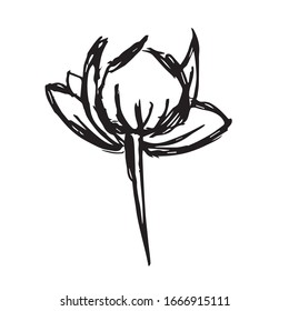 Vector Illustration of Flower Nature Spring Icon on Isolated Background. Use This Hand Drawing or Sketch Icon For Graphic Design, Poster, Shirt Design and More.