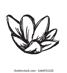 Ilustración vectorial de un icono de muelle natural de flores en fondo aislado. Utilice este icono de dibujo manual o esbozo para diseño gráfico, póster, diseño de Pantalones y mucho más.