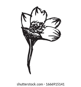 Ilustración vectorial de un icono de muelle natural de flores en fondo aislado. Utilice este icono de dibujo manual o esbozo para diseño gráfico, póster, diseño de Pantalones y mucho más.