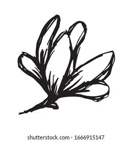 Vector Illustration of Flower Nature Spring Icon on Isolated Background. Use This Hand Drawing or Sketch Icon For Graphic Design, Poster, Shirt Design and More.
