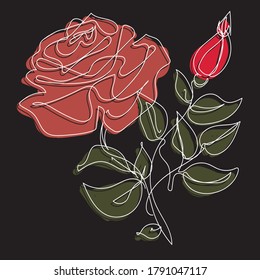 vector illustration of a flower on a black background, red rose with a Bud, black and white linears drawing