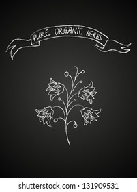 Vector illustration of flower on blackboard. Concept decoration for a restaurant, coffeehouse, coffee shop menu, organic products, natural herbs, pharmacy, herbal tea, homeopathy, wedding invitation