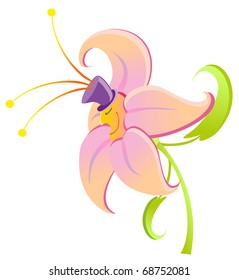 Vector illustration. Flower on white background.