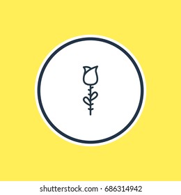 Vector Illustration Of Flower Outline. Beautiful Amour Element Also Can Be Used As Rose  Element.