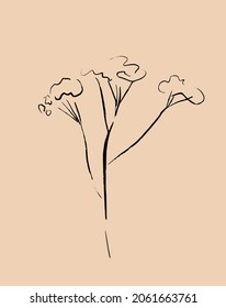 Vector illustration. A flower painted by a brush. Natural shapes. Drawing for wall art. Modern bohemian illustrations. Fine art elements.