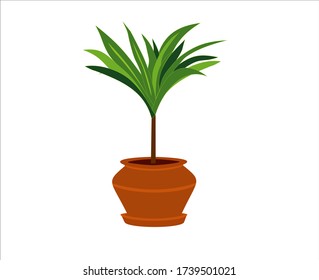 Vector illustration flower, plant growing in a ceramic  pot. Potted plant icon.Floral interior decoration design element vector illustration.