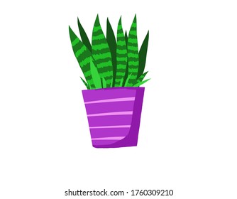 Vector illustration flower, plant growing in a pot. Potted plant icon. Seedling icon