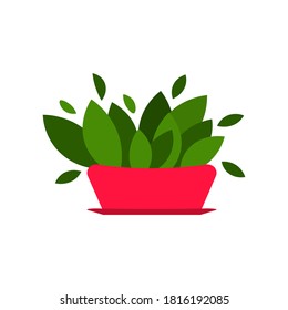 Flor de ilustración vectorial, planta que crece en una olla. Icono de la planta putrefacta. Planta interior en una olla aislada de fondo blanco. Icono de semilla