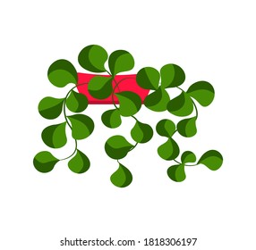 Vector illustration flower, plant growing in a pot. Potted plant icon. Indoor plant in a pot isolated on white background. Seedling icon