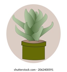 Vector illustration flower, plant growing in a pot. Little plant seedling. Vector illustration