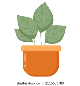 Vector illustration flower, plant growing in a pot, isolated on white background. Houseplant in a pot in a flat minimalistic style. Small plant seedling. seedling icon