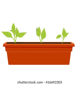 Vector illustration flower pot. 