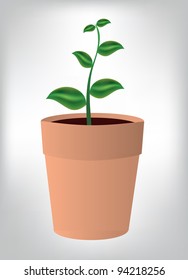 vector illustration flower in pot