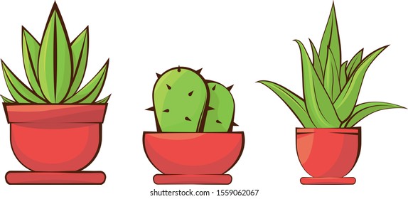 Vector illustration of a flower in a pot. Cactus vector illustration. Succulent set. Green energy and nature. Botanical icons. 
