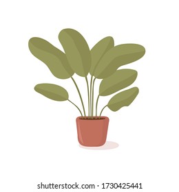 Vector Illustration einer Blume in einem Topf. Ziehung einer Wohnanlage in flachem Stil