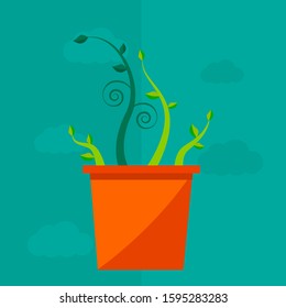 Vector illustration, flower in a pot. Flat design. ECO. Trees with green leaves look beautiful and refreshing. Illustration for banner, greeting card, icon, logo. Creative design