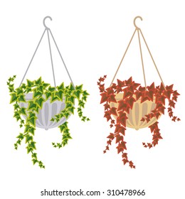 Vector illustration with flower pot in flat style. Vector ivy isolated on white background for game design