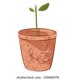 Vector illustration of a flower pot with a green sprout growing