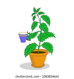 Vector illustration. A flower in a pot has for a drink.