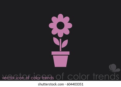 vector illustration of flower in pot icon