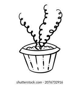 Vector illustration of a flower in a pot and sketch hand drawn