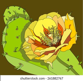 vector illustration of the flower of the prickly pear. Examples of banners and leaflets. pattern floral background