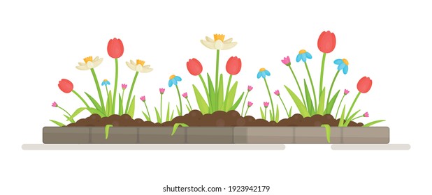 Vector illustration of flower seedlings.