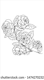 vector illustration of a flower sketch, EPS 10
