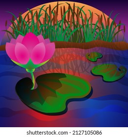 Vector illustration of a flowering lotus in the evening against the background of the setting sun and the reeds