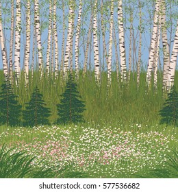 Vector illustration a flowering meadow in a forest 