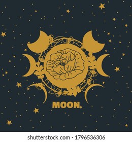 vector illustration of flowering moon phases, with moon full of flowers in bloom