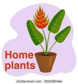 Ilustración vectorial, planta floreciente en una olla de cerámica. Elemento de diseño