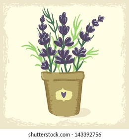 Vector illustration of the flowerpot with lavender flowers
