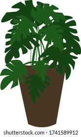 Vector illustration of a flowerpot with monstera in cartoon style. Tropic flowers for home or interior Isolated on a white background.