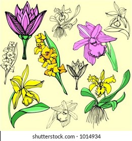 A vector illustration of flowers.