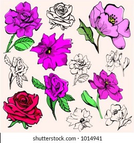 A vector illustration of flowers.