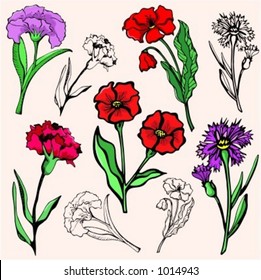 A vector illustration of flowers.