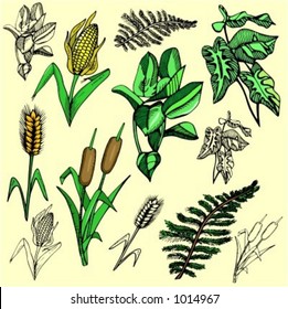 A vector illustration of flowers.