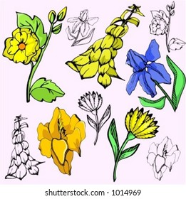 A vector illustration of flowers.