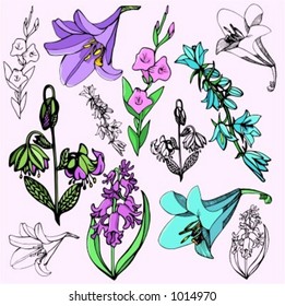 A vector illustration of flowers.