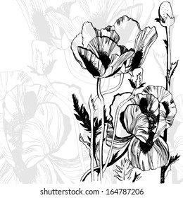 Vector illustration with flowers